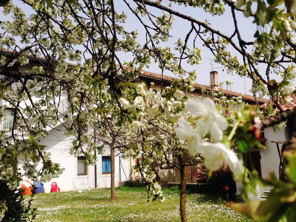 Casa Romea